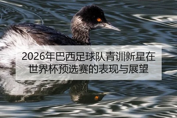 nian-ba-xi-zu-qiu-dui-qing-xun-xin-xing-zai-shi-jie-bei-yu-xuan-sai-de-biao-xian-yu-zhan-wang-2-250.jpg