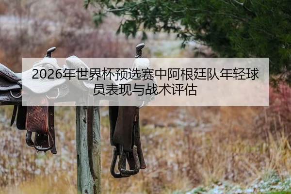 2026年世界杯预选赛中阿根廷队年轻球员表现与战术评估