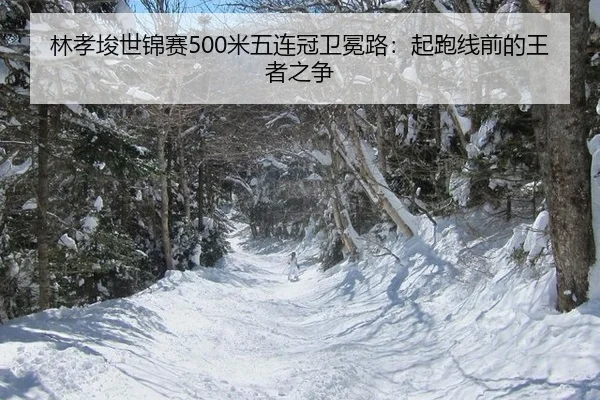 lin-xiao-jun-shi-jin-sai-mi-wu-lian-guan-wei-mian-lu-qi-pao-xian-qian-de-wang-zhe-zhi-zheng-3-347.jpg