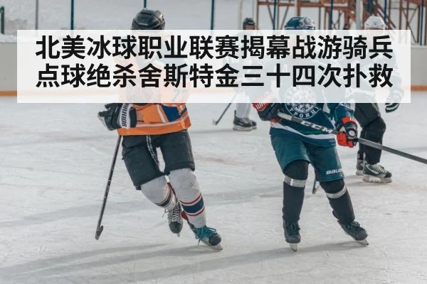 ice hockey match